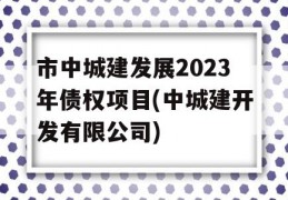 市中城建发展2023年债权项目(中城建开发有限公司)