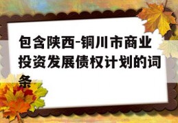 包含陕西-铜川市商业投资发展债权计划的词条