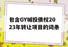 包含GY城投债权2023年转让项目的词条