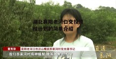 湖北襄阳老河口交投债权计划的简单介绍