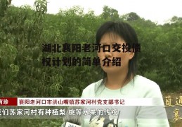 湖北襄阳老河口交投债权计划的简单介绍