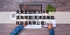 大央企信托-324号滨海项目(天津滨海信托投资有限公司)