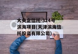 大央企信托-324号滨海项目(天津滨海信托投资有限公司)