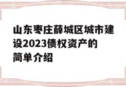 山东枣庄薛城区城市建设2023债权资产的简单介绍