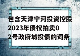 包含天津宁河投资控股2023年债权拍卖02号政府城投债的词条