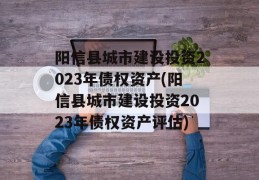 阳信县城市建设投资2023年债权资产(阳信县城市建设投资2023年债权资产评估)