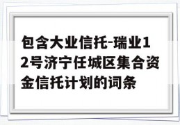 包含大业信托-瑞业12号济宁任城区集合资金信托计划的词条