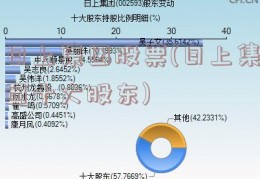 日上集团股票(日上集团十大股东)