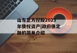 山东正方控股2023年债权资产|政府债定融的简单介绍