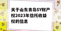 关于山东青岛SY财产权2023年信托收益权的信息