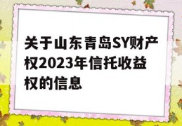 关于山东青岛SY财产权2023年信托收益权的信息