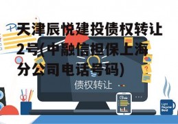 天津辰悦建投债权转让2号(中融信担保上海分公司电话号码)