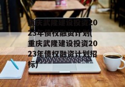 重庆武隆建设投资2023年债权融资计划(重庆武隆建设投资2023年债权融资计划招标)