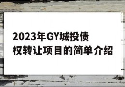 2023年GY城投债权转让项目的简单介绍