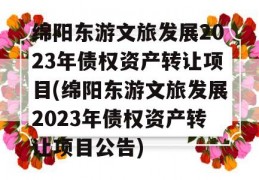 绵阳东游文旅发展2023年债权资产转让项目(绵阳东游文旅发展2023年债权资产转让项目公告)