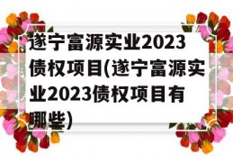 遂宁富源实业2023债权项目(遂宁富源实业2023债权项目有哪些)