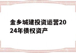 金乡城建投资运营2024年债权资产