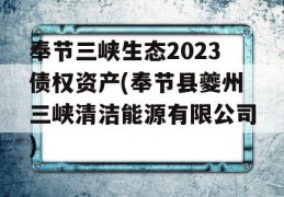 奉节三峡生态2023债权资产(奉节县夔州三峡清洁能源有限公司)