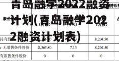 青岛融学2022融资计划(青岛融学2022融资计划表)