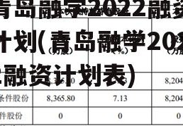 青岛融学2022融资计划(青岛融学2022融资计划表)