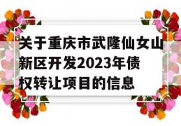 关于重庆市武隆仙女山新区开发2023年债权转让项目的信息