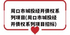 周口市城投经开债权系列项目(周口市城投经开债权系列项目招标)