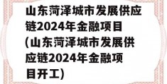 山东菏泽城市发展供应链2024年金融项目(山东菏泽城市发展供应链2024年金融项目开工)