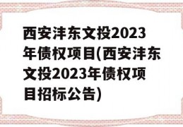 西安沣东文投2023年债权项目(西安沣东文投2023年债权项目招标公告)