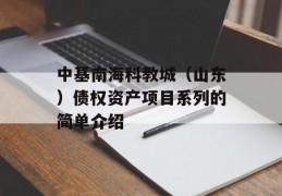 中基南海科教城（山东）债权资产项目系列的简单介绍