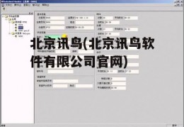 北京讯鸟(北京讯鸟软件有限公司官网)