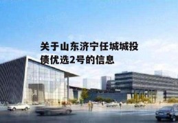 关于山东济宁任城城投债优选2号的信息