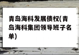 青岛海科发展债权(青岛海科集团领导班子名单)