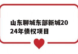 山东聊城东部新城2024年债权项目