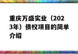 重庆万盛实业（2023年）债权项目的简单介绍