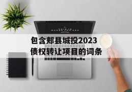 包含郏县城投2023债权转让项目的词条