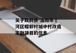 关于政府债-洛阳市瀍河区帽郭村城中村改造定融项目的信息