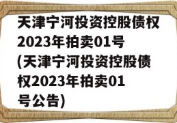 天津宁河投资控股债权2023年拍卖01号(天津宁河投资控股债权2023年拍卖01号公告)