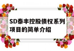 SD泰丰控股债权系列项目的简单介绍