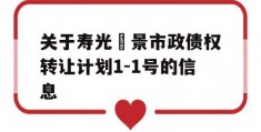 关于寿光昇景市政债权转让计划1-1号的信息