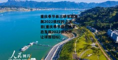 重庆奉节县三峡生态发展2022债权转让项目(重庆奉节县三峡生态发展2022债权转让项目招标)