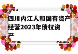 四川内江人和国有资产经营2023年债权资产