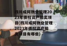 四川成阿物业管理2023年债权资产拍卖项目(四川成阿物业管理2023年债权资产拍卖项目有哪些)