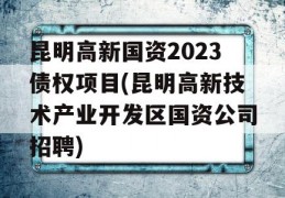 昆明高新国资2023债权项目(昆明高新技术产业开发区国资公司招聘)