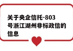 关于央企信托-803号浙江湖州非标政信的信息