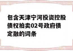 包含天津宁河投资控股债权拍卖02号政府债定融的词条