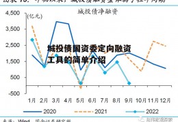 城投债国资委定向融资工具的简单介绍