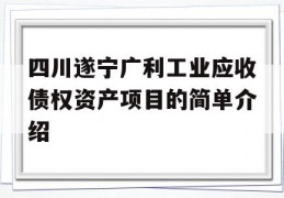 四川遂宁广利工业应收债权资产项目的简单介绍