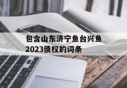 包含山东济宁鱼台兴鱼2023债权的词条