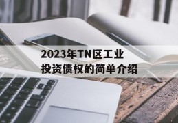 2023年TN区工业投资债权的简单介绍