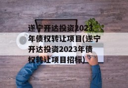 遂宁开达投资2023年债权转让项目(遂宁开达投资2023年债权转让项目招标)